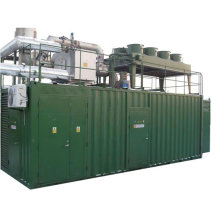 Googol Container Gas Generator Set 1500kw 50Hz